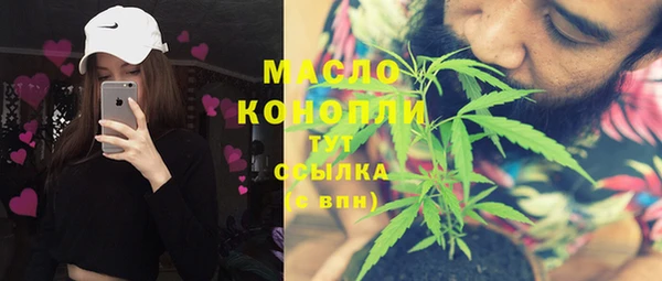 дживик Бородино