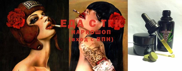 дживик Бородино