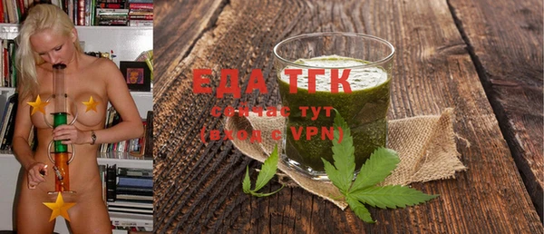 дживик Бородино