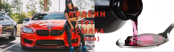 дживик Бородино