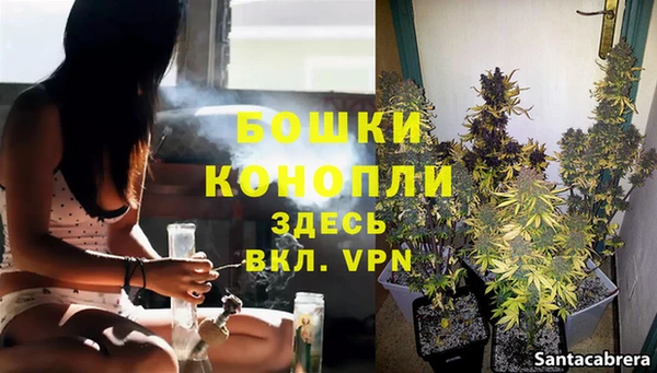дживик Бородино
