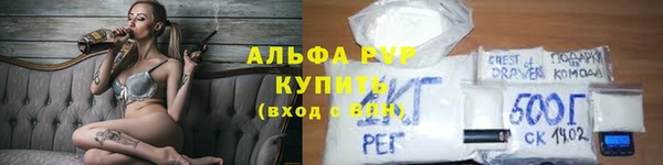 дживик Бородино