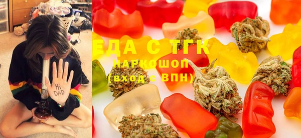 дживик Бородино
