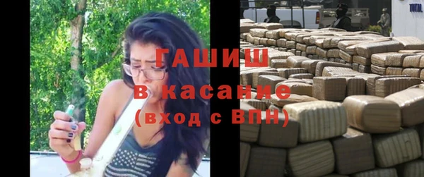 дживик Бородино