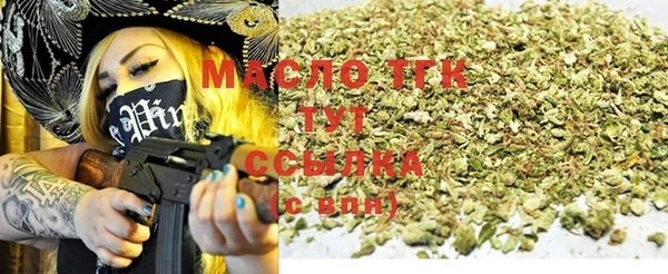 дживик Бородино