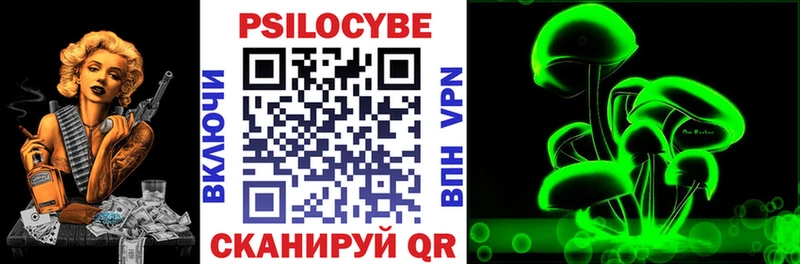 Купить закладки  Бокситогорск  Псилоцибиновые грибы Psilocybe 
